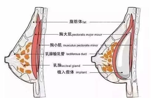 微信截图_20231101234605.jpg