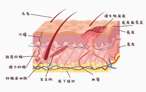 QQ浏览器截图20210914084638.png