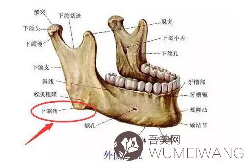 肥胖下颌角整形果怎么样