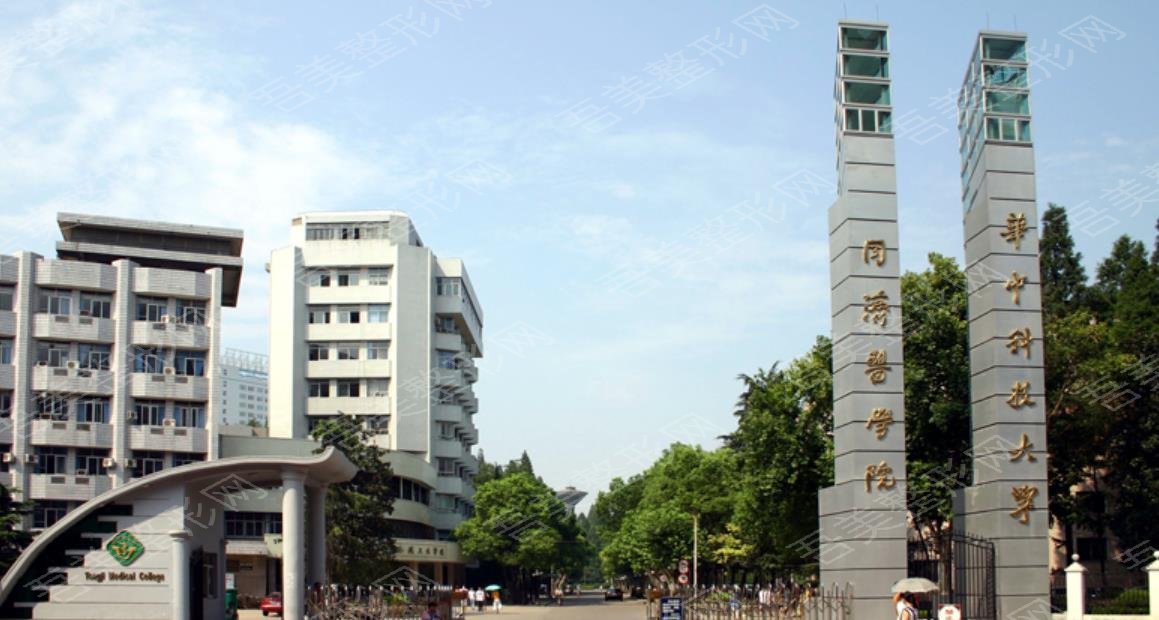 华中科技大学同济医学