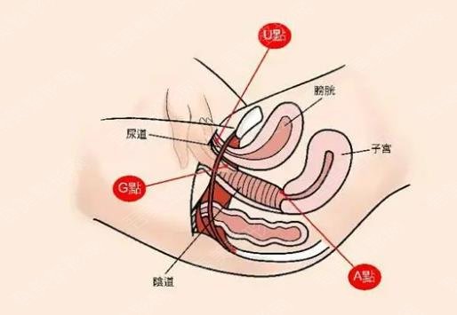 私密整形