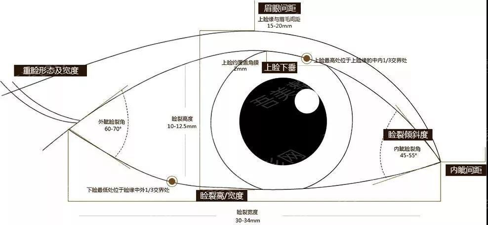 北京郭建玲医生科普双眼皮手术知识